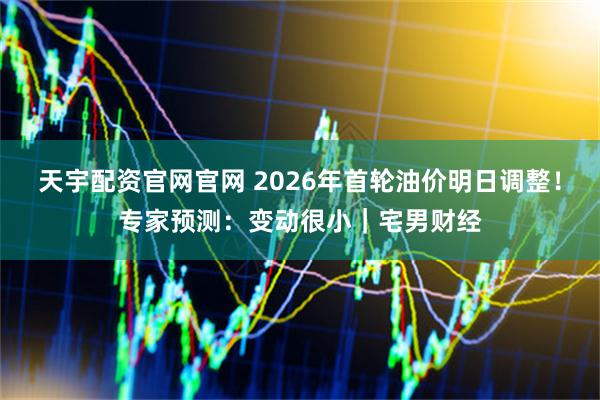 天宇配资官网官网 2026年首轮油价明日调整！专家预测：变动很小｜宅男财经