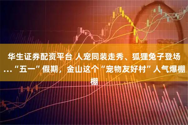 华生证券配资平台 人宠同装走秀、狐狸兔子登场…“五一”假期，金山这个“宠物友好村”人气爆棚